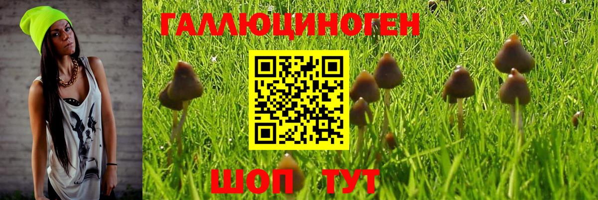 Псилоцибиновые грибы мухоморы  Вход с VPN  Еманжелинск 